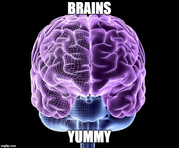 brains | BRAINS YUMMY | image tagged in brains | made w/ Imgflip meme maker