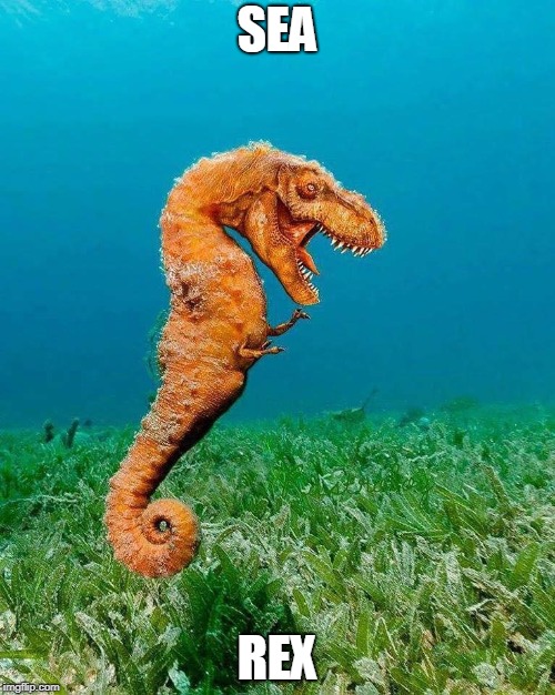 They Live In Jurassic Pond | SEA; REX | image tagged in t rex,sea horse,sea rex,funny meme | made w/ Imgflip meme maker