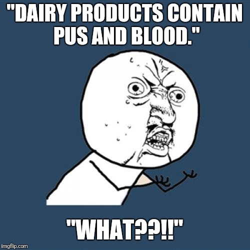 Y U No Meme | "DAIRY PRODUCTS CONTAIN PUS AND BLOOD."; "WHAT??!!" | image tagged in memes,y u no | made w/ Imgflip meme maker