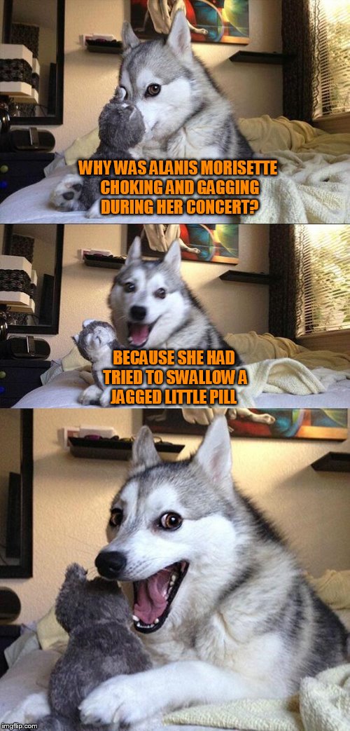 Bad Pun Dog Meme | WHY WAS ALANIS MORISETTE CHOKING AND GAGGING DURING HER CONCERT? BECAUSE SHE HAD TRIED TO SWALLOW A  JAGGED LITTLE PILL | image tagged in memes,bad pun dog,alanismorisette,jaggedlittlepill | made w/ Imgflip meme maker