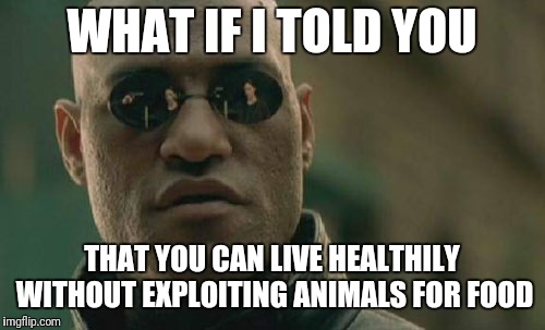 Matrix Morpheus | WHAT IF I TOLD YOU; THAT YOU CAN LIVE HEALTHILY WITHOUT EXPLOITING ANIMALS FOR FOOD | image tagged in memes,matrix morpheus | made w/ Imgflip meme maker