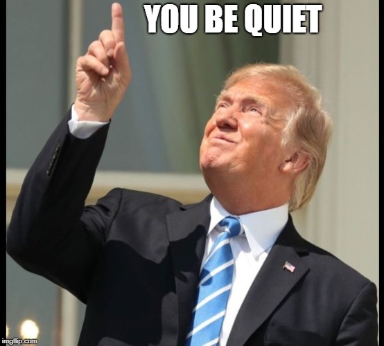 YOU BE QUIET | image tagged in point trump | made w/ Imgflip meme maker