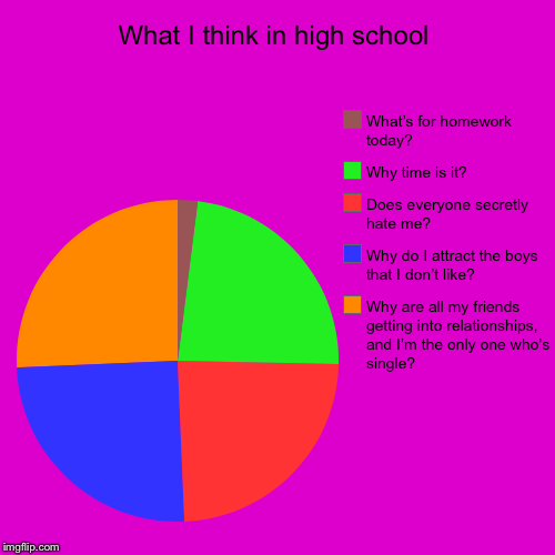 What I think in high school | Why are all my friends getting into relationships, and I’m the only one who’s single?, Why do I attract the bo | image tagged in funny,pie charts | made w/ Imgflip chart maker