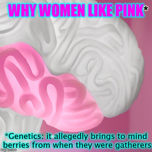 Scientific Study Shows | WHY WOMEN LIKE PINK; *; *Genetics: it allegedly brings to mind berries from when they were gatherers | image tagged in vince vance,brains,why do women like pink,cavemen were hunters,cavewomen were gatherers,cavemen were not vegan by choice | made w/ Imgflip meme maker