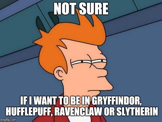 Futurama Fry Meme | NOT SURE; IF I WANT TO BE IN GRYFFINDOR, HUFFLEPUFF, RAVENCLAW OR SLYTHERIN | image tagged in memes,futurama fry | made w/ Imgflip meme maker