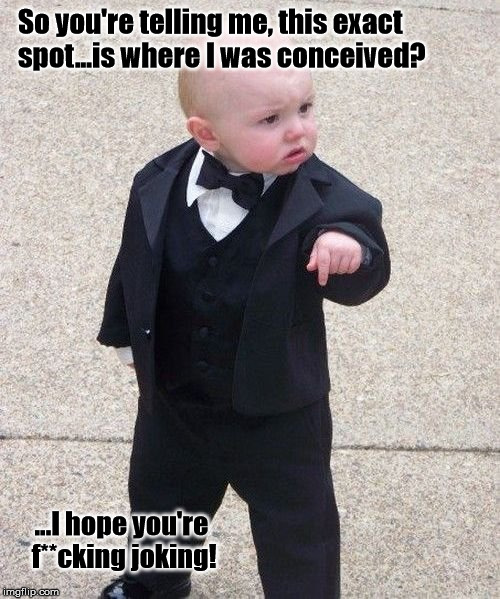Baby Godfather Meme | So you're telling me, this exact         spot...is where I was conceived? ...I hope you're f**cking joking! | image tagged in memes,baby godfather | made w/ Imgflip meme maker