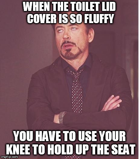 Face You Make Robert Downey Jr Meme | WHEN THE TOILET LID COVER IS SO FLUFFY; YOU HAVE TO USE YOUR KNEE TO HOLD UP THE SEAT | image tagged in memes,face you make robert downey jr | made w/ Imgflip meme maker