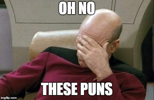 Captain Picard Facepalm Meme | OH NO THESE PUNS | image tagged in memes,captain picard facepalm | made w/ Imgflip meme maker