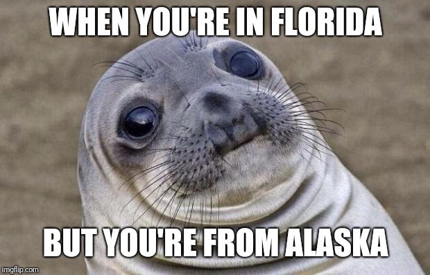 Awkward Moment Sealion Meme | WHEN YOU'RE IN FLORIDA BUT YOU'RE FROM ALASKA | image tagged in memes,awkward moment sealion | made w/ Imgflip meme maker