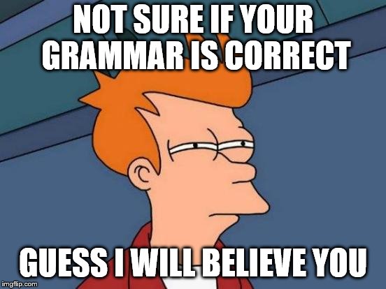 Futurama Fry Meme | NOT SURE IF YOUR GRAMMAR IS CORRECT GUESS I WILL BELIEVE YOU | image tagged in memes,futurama fry | made w/ Imgflip meme maker