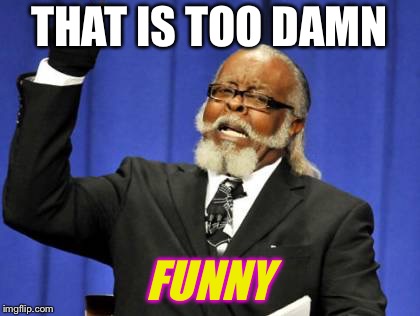 Too Damn High Meme | THAT IS TOO DAMN FUNNY | image tagged in memes,too damn high | made w/ Imgflip meme maker