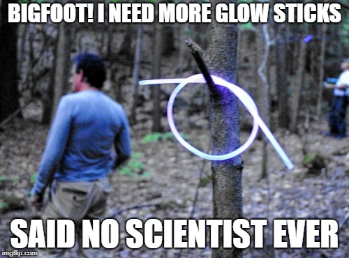 BIGFOOT! I NEED MORE GLOW STICKS; SAID NO SCIENTIST EVER | image tagged in bigfoot | made w/ Imgflip meme maker