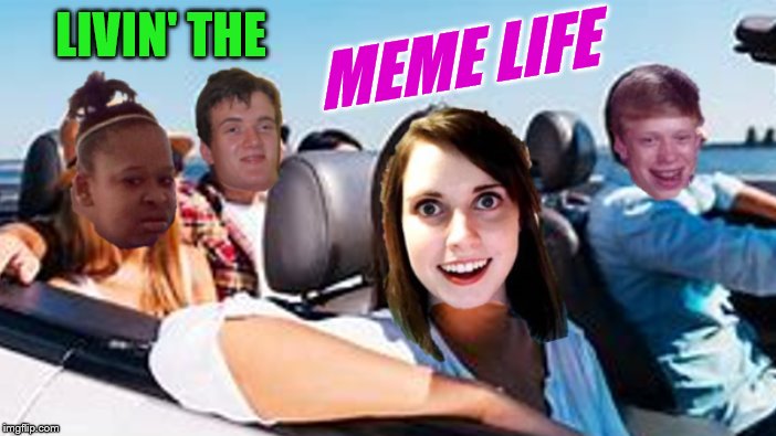 LIVIN' THE; MEME LIFE | image tagged in memes,imgflip,meme life | made w/ Imgflip meme maker