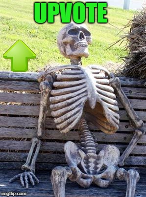 Waiting Skeleton Meme | UPVOTE | image tagged in memes,waiting skeleton | made w/ Imgflip meme maker