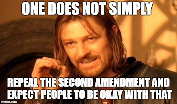 One Does Not Simply | ONE DOES NOT SIMPLY; REPEAL THE SECOND AMENDMENT AND EXPECT PEOPLE TO BE OKAY WITH THAT | image tagged in memes,one does not simply | made w/ Imgflip meme maker