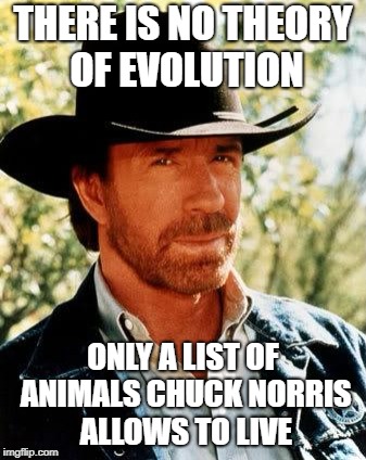 Chuck Norris Meme | THERE IS NO THEORY OF EVOLUTION; ONLY A LIST OF ANIMALS CHUCK NORRIS ALLOWS TO LIVE | image tagged in memes,chuck norris | made w/ Imgflip meme maker