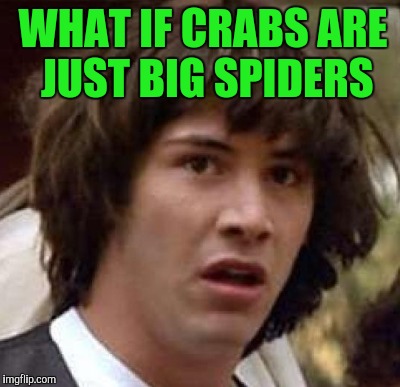 WHAT IF CRABS ARE JUST BIG SPIDERS | made w/ Imgflip meme maker