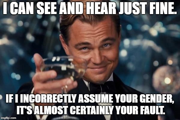 Leonardo Dicaprio Cheers |  I CAN SEE AND HEAR JUST FINE. IF I INCORRECTLY ASSUME YOUR GENDER, IT'S ALMOST CERTAINLY YOUR FAULT. | image tagged in memes,leonardo dicaprio cheers | made w/ Imgflip meme maker