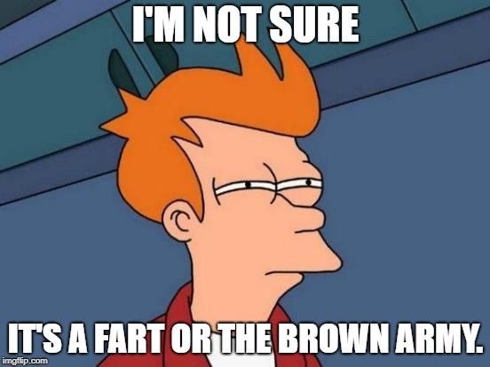 Futurama Fry Meme | I'M NOT SURE; IT'S A FART OR THE BROWN ARMY. | image tagged in memes,futurama fry | made w/ Imgflip meme maker