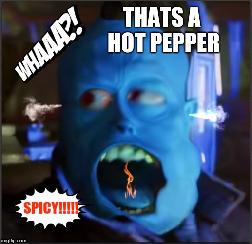 They said it wasn't that spicy | THATS A HOT PEPPER | image tagged in funny memes,memes,peppers,spicy reaction | made w/ Imgflip meme maker