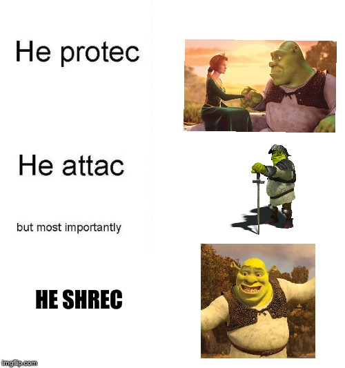 he protec | HE SHREC | image tagged in shrek,he protec,memes | made w/ Imgflip meme maker