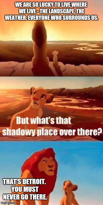 Simba Shadowy Place | WE ARE SO LUCKY TO LIVE WHERE WE LIVE - THE LANDSCAPE, THE WEATHER, EVERYONE WHO SURROUNDS US. THAT'S DETROIT. YOU MUST NEVER GO THERE. | image tagged in memes,simba shadowy place | made w/ Imgflip meme maker