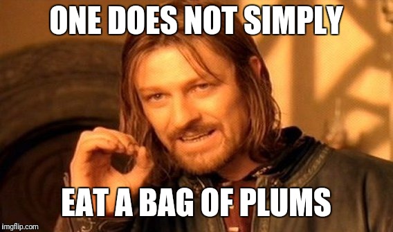 One Does Not Simply | ONE DOES NOT SIMPLY; EAT A BAG OF PLUMS | image tagged in memes,one does not simply | made w/ Imgflip meme maker