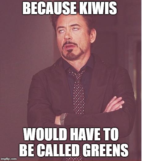 Face You Make Robert Downey Jr Meme | BECAUSE KIWIS WOULD HAVE TO  BE CALLED GREENS | image tagged in memes,face you make robert downey jr | made w/ Imgflip meme maker