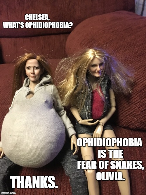 Olivia Michelle, Chelsea Renee | CHELSEA, WHAT'S OPHIDIOPHOBIA? OPHIDIOPHOBIA IS THE FEAR OF SNAKES, OLIVIA. THANKS. | image tagged in olivia michelle chelsea renee | made w/ Imgflip meme maker