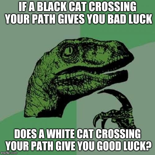 Superstitionoraptor | IF A BLACK CAT CROSSING YOUR PATH GIVES YOU BAD LUCK; DOES A WHITE CAT CROSSING YOUR PATH GIVE YOU GOOD LUCK? | image tagged in memes,philosoraptor,luck,good luck,bad luck,black cat | made w/ Imgflip meme maker