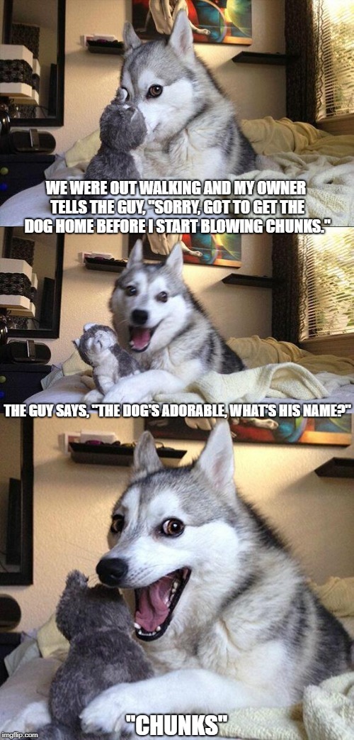 Lovely Day for a Walk | WE WERE OUT WALKING AND MY OWNER TELLS THE GUY, "SORRY, GOT TO GET THE DOG HOME BEFORE I START BLOWING CHUNKS."; THE GUY SAYS, "THE DOG'S ADORABLE, WHAT'S HIS NAME?"; "CHUNKS" | image tagged in memes,bad pun dog | made w/ Imgflip meme maker