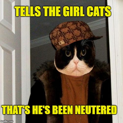 Scumbag Cat 2 | TELLS THE GIRL CATS; THAT'S HE'S BEEN NEUTERED | image tagged in funny memes,cat,scumbag steve,scumbag cat | made w/ Imgflip meme maker