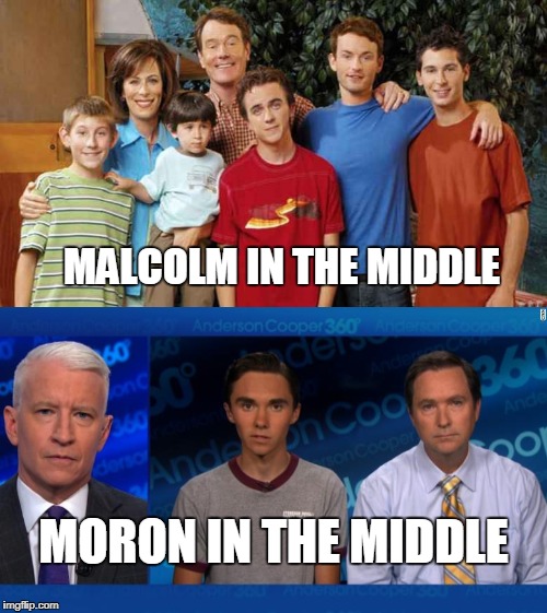 Detail is Everything | MALCOLM IN THE MIDDLE; MORON IN THE MIDDLE | image tagged in david hogg,malcolm in the middle | made w/ Imgflip meme maker