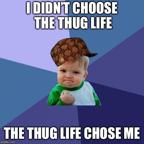 Success Kid Meme | I DIDN’T CHOOSE THE THUG LIFE; THE THUG LIFE CHOSE ME | image tagged in memes,success kid,scumbag | made w/ Imgflip meme maker
