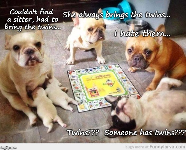 Game Night... | She always brings the twins... Couldn't find a sitter, had to bring the twins... I hate them... Twins???  Someone has twins??? | image tagged in twins,no sitter | made w/ Imgflip meme maker