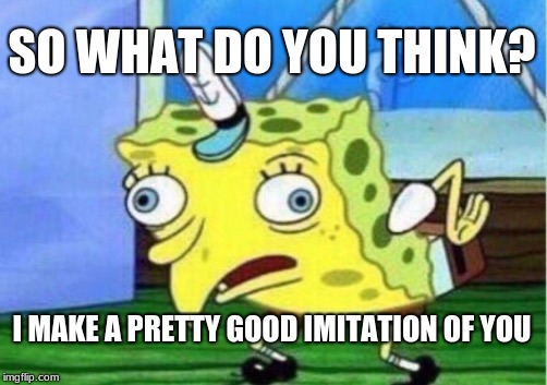 Mocking Spongebob Meme | SO WHAT DO YOU THINK? I MAKE A PRETTY GOOD IMITATION OF YOU | image tagged in memes,mocking spongebob | made w/ Imgflip meme maker