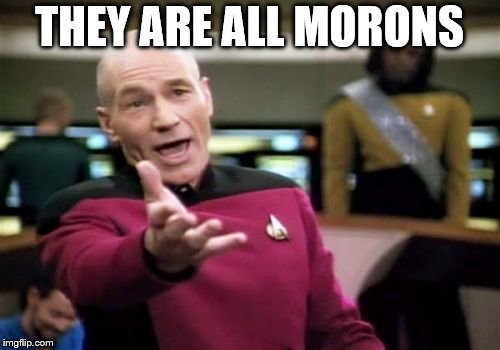 Picard Wtf Meme | THEY ARE ALL MORONS | image tagged in memes,picard wtf | made w/ Imgflip meme maker