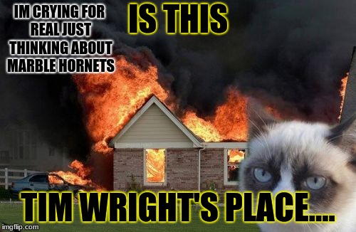 Burn Kitty Meme | IM CRYING FOR REAL JUST THINKING ABOUT MARBLE HORNETS; IS THIS; TIM WRIGHT'S PLACE.... | image tagged in memes,burn kitty,grumpy cat | made w/ Imgflip meme maker