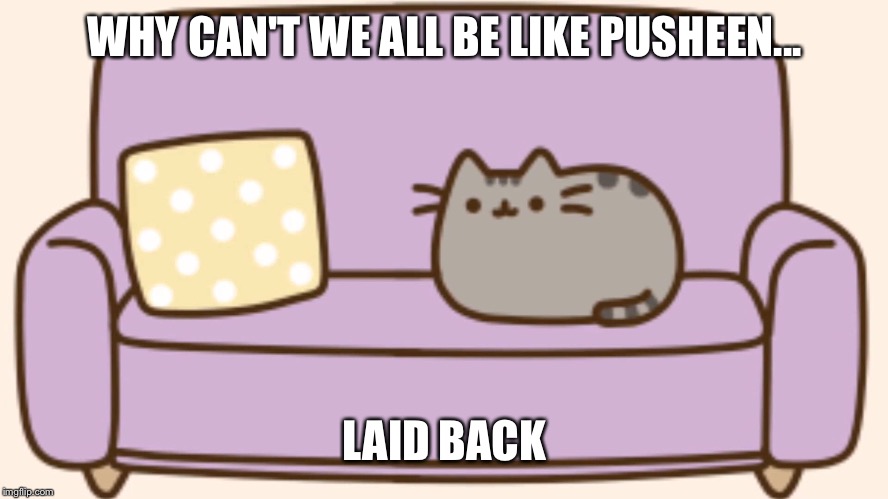 WHY CAN'T WE ALL BE LIKE PUSHEEN... LAID BACK | image tagged in pusheen | made w/ Imgflip meme maker