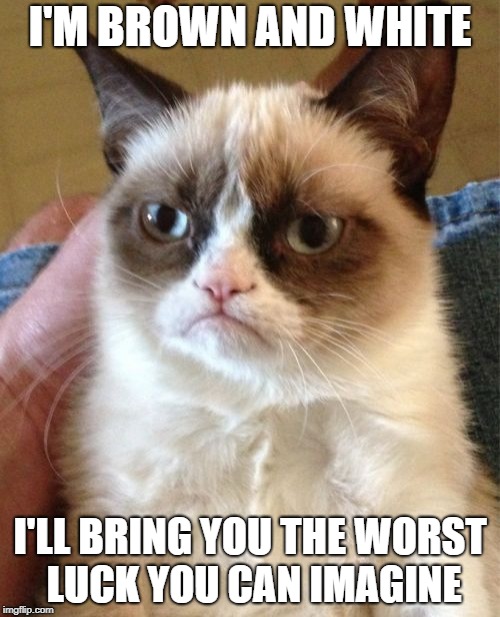 Grumpy Cat Meme | I'M BROWN AND WHITE I'LL BRING YOU THE WORST LUCK YOU CAN IMAGINE | image tagged in memes,grumpy cat | made w/ Imgflip meme maker