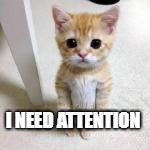 I NEED ATTENTION | made w/ Imgflip meme maker