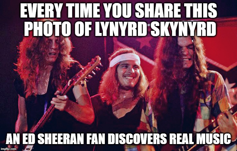 It's for the children | EVERY TIME YOU SHARE THIS PHOTO OF LYNYRD SKYNYRD; AN ED SHEERAN FAN DISCOVERS REAL MUSIC | image tagged in ed sheeran,rock and roll,pop music | made w/ Imgflip meme maker