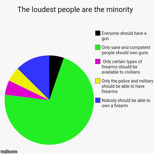The loudest people are the minority  | Nobody should be able to own a firearm , Only the police and military should be able to have firearms | image tagged in funny,pie charts | made w/ Imgflip chart maker