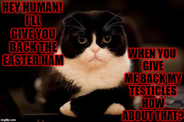 WHEN YOU GIVE ME BACK MY TESTICLES HOW ABOUT THAT? HEY HUMAN! I'LL GIVE YOU BACK THE EASTER HAM | image tagged in ham for nuts | made w/ Imgflip meme maker