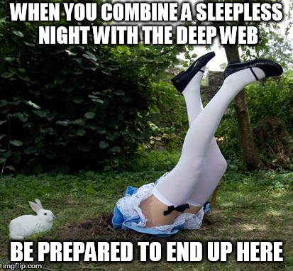 Rabbit Hole | WHEN YOU COMBINE A SLEEPLESS NIGHT WITH THE DEEP WEB; BE PREPARED TO END UP HERE | image tagged in rabbit hole | made w/ Imgflip meme maker