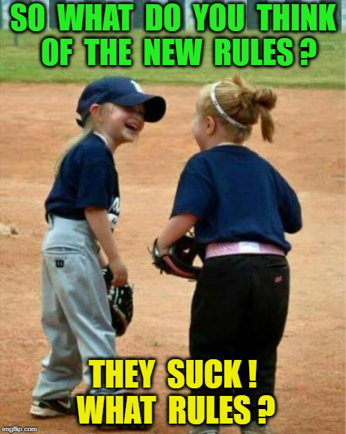 New Rules | SO  WHAT  DO  YOU  THINK  OF  THE  NEW  RULES ? THEY  SUCK ! WHAT  RULES ? | image tagged in baseball | made w/ Imgflip meme maker