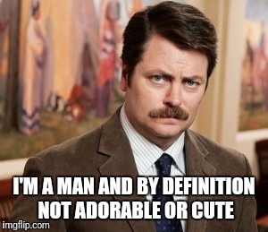 Ron Swanson | I'M A MAN AND BY DEFINITION NOT ADORABLE OR CUTE | image tagged in memes,ron swanson | made w/ Imgflip meme maker