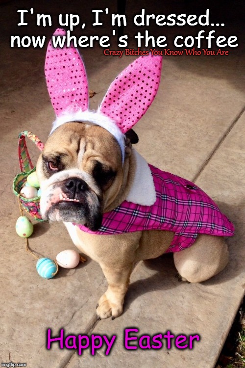 I'm up, I'm dressed... now where's the coffee; Crazy Bitches You Know Who You Are; Happy Easter | image tagged in easter,coffee,dog | made w/ Imgflip meme maker