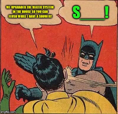 Batman Slapping Robin Meme | WE UPGRADED THE WATER SYSTEM IN THE HOUSE SO YOU CAN FLUSH WHILE I HAVE A SHOWER! S___! | image tagged in memes,batman slapping robin | made w/ Imgflip meme maker