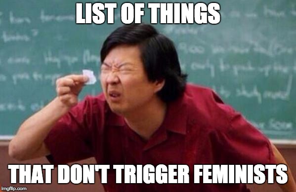 Small List | LIST OF THINGS; THAT DON'T TRIGGER FEMINISTS | image tagged in small list | made w/ Imgflip meme maker